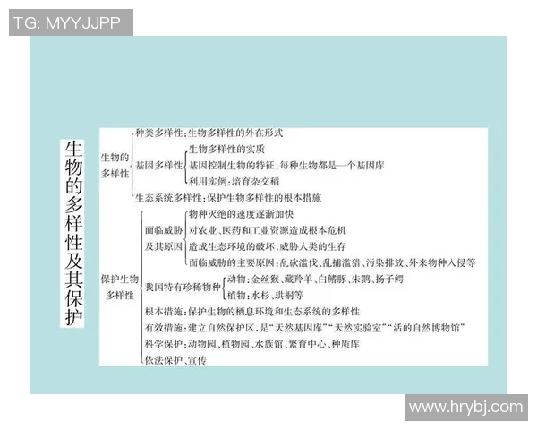 足球明星的语言多样性探讨及其对全球文化的影响